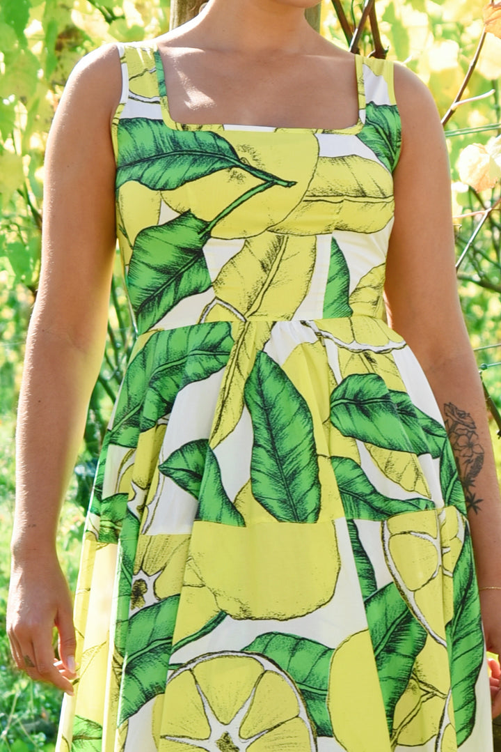 CT The Great Staycation Dress