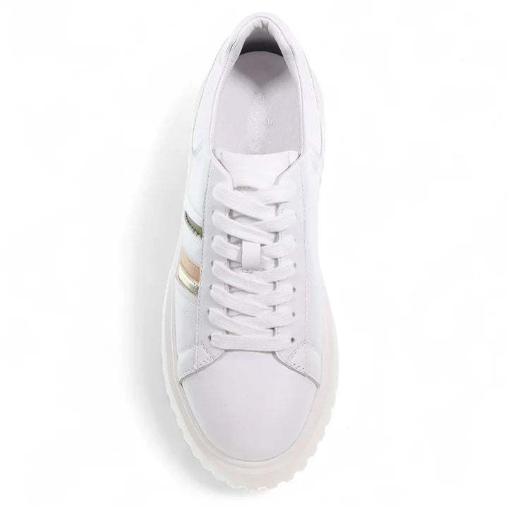 Minx Flux Sneaker White/ Gold Stripe